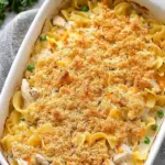 Chicken Noodle Soup Recipe