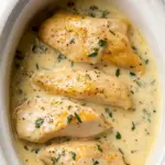 Creamy Alfredo Pasta